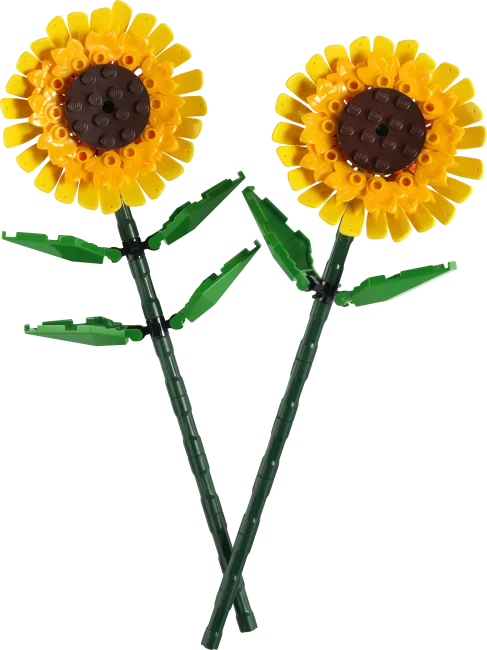 40524 Подсолнухи